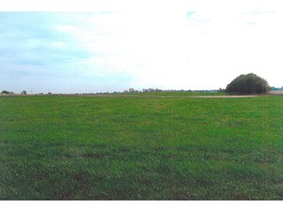 Tract 4 - 241 Acres Offered in 4 Tracts, Land Auction